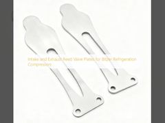 แผ่นวาล์วสับปะทะและปะทะปะทะปะทะปะทะปะทะปะทะปะทะปะทะปะทะปะทะปะทะปะทะปะทะปะทะปะทะปะทะปะทะปะทะปะทะ